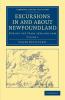 Excursions in and about Newfoundland during the Years 1839 and 1840             - Volume 2