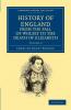 History of England from the Fall of Wolsey to the Death of Elizabeth - Volume 4