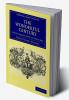 The Wonderful Century