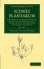 Icones Plantarum