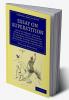Essay on Superstition