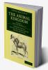 The Animal Kingdom - Volume 4