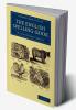 The English Spelling-Book