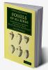 Fossils of All Kinds