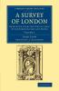 A Survey of London