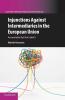 Injunctions Against Intermediaries in the European             Union