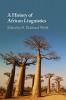 A History of African Linguistics