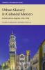 Urban Slavery in Colonial Mexico