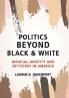 Politics Beyond Black and White