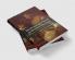The Picaresque Novel in Western Literature