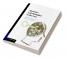 Narrative and Metaphor in the Law
