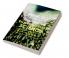 Think Do and Communicate Environmental Science