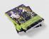 The Cambridge Companion to Genesis