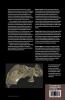 Early Miocene Paleobiology in Patagonia