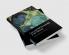 Law and Self-Knowledge in the Talmud