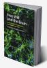 Free Will and the Brain