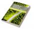 Smart Mixes for Transboundary Environmental Harm