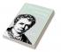 Interpreting Schelling