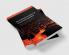 The Political Economy of Financial Regulation