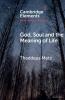 God Soul and the Meaning of Life