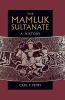 The Mamluk Sultanate