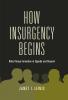 How Insurgency Begins