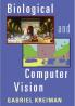 Biological and Computer Vision