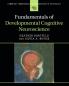 Fundamentals of Developmental Cognitive Neuroscience