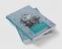 Aging Duration and the English Novel