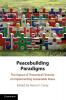 Peacebuilding Paradigms