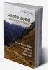 Camino al español