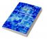 Mathematical Intuitionism