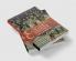 The Cambridge Companion to the Age of William the Conqueror