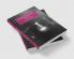 Literature Print Culture and Media Technologies 1880-1900
