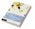 The Cambridge Companion to the International Court of Justice