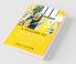 A History of Modern Aesthetics