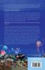 The Emergence of Life