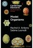 Model Organisms