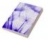 Austrian Perspectives on Entrepreneurship Strategy and Organization
