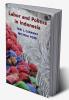 Labor and Politics in Indonesia