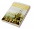 The Cambridge Companion to Montesquieu