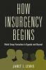 How Insurgency Begins
