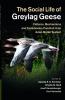 The Social Life of Greylag Geese