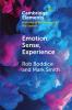 Emotion Sense Experience