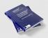 The Making of Responsible Innovation