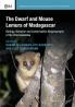 The Dwarf and Mouse Lemurs of Madagascar
