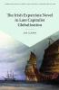 The Irish Expatriate Novel in Late Capitalist Globalization