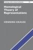 Homological Theory of Representations