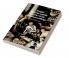 Hunger Appetite and the Politics of the Renaissance Stage