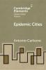 Epidemic Cities